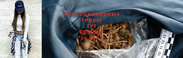 jwh Аркадак