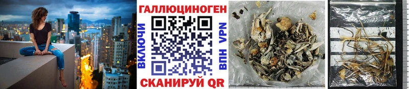 Псилоцибиновые грибы MAGIC MUSHROOMS  Унеча 